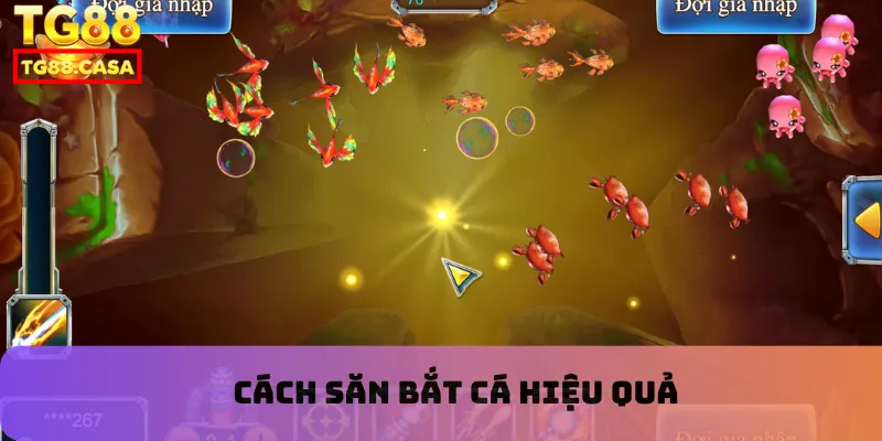 Cách săn bắt cá hiệu quả