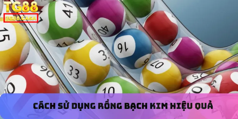 Cách sử dụng rồng bạch kim hiệu quả