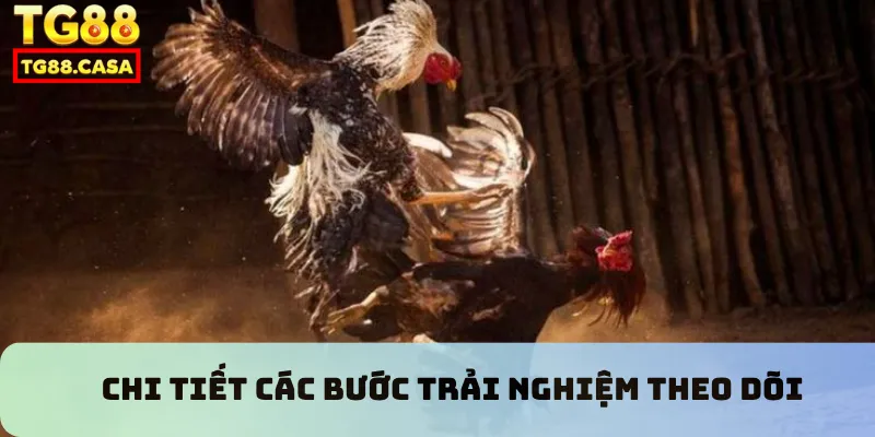 Chi tiết các bước trải nghiệm theo dõi