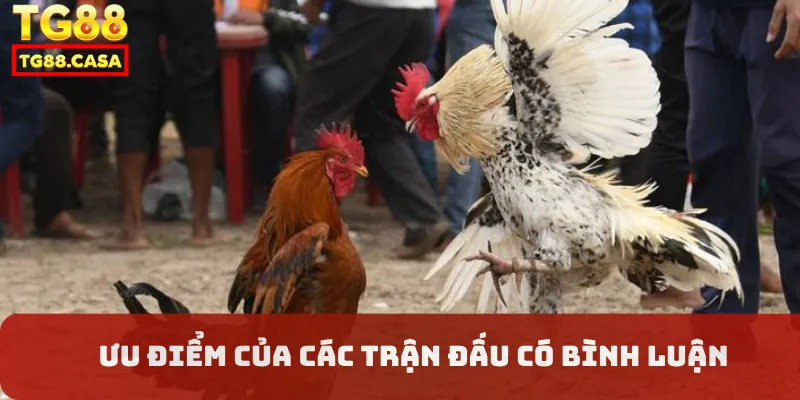 Ưu điểm của các trận đấu có bình luận