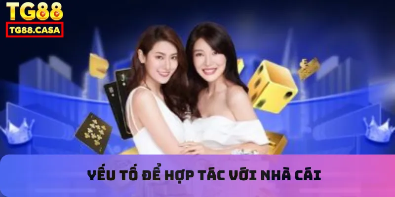 Yếu tố để hợp tác với nhà cái